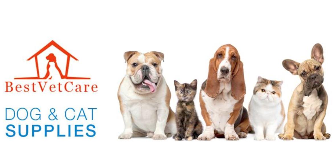 Best Vet Care