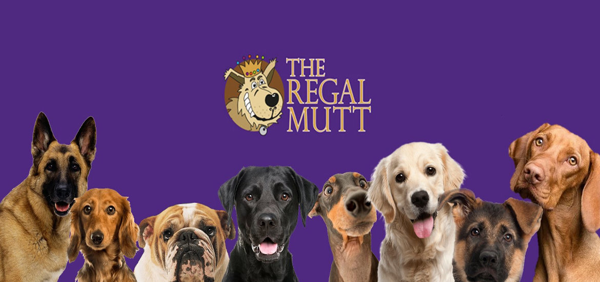The Regal Mutt